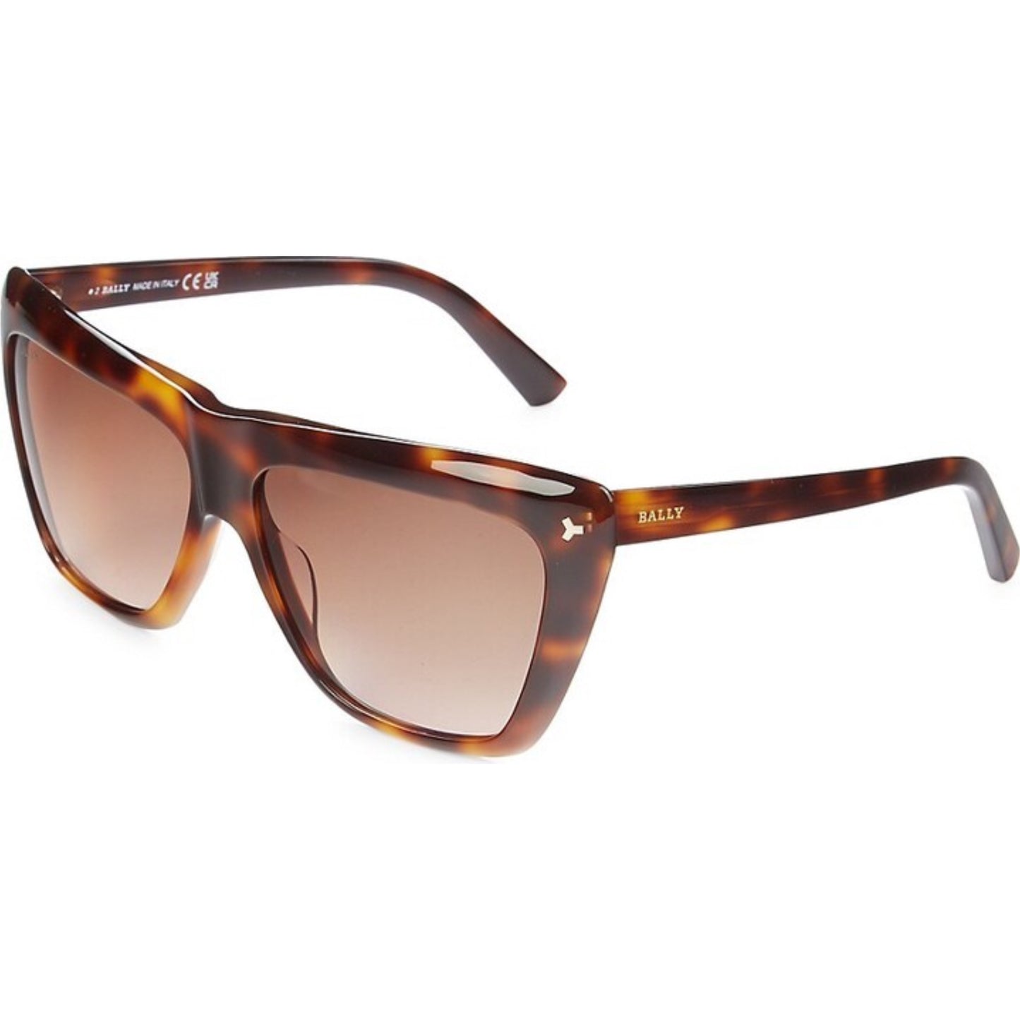 Bally 61MM Rectangle Sunglasses