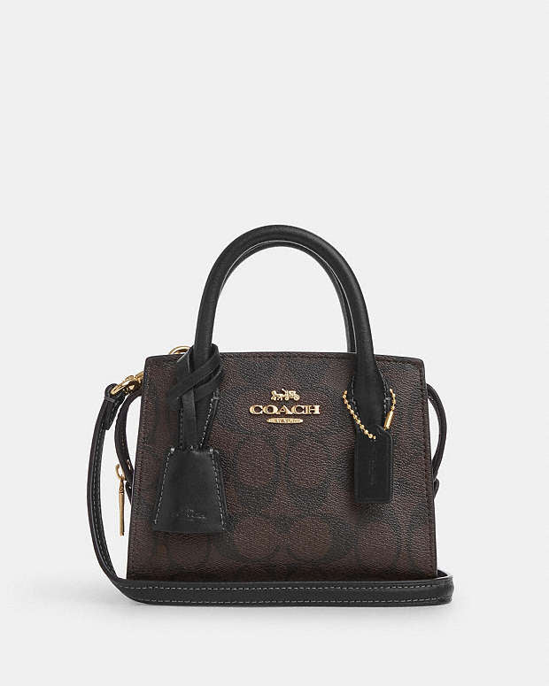 Andrea Mini Carryall In Signature Canvas Coach