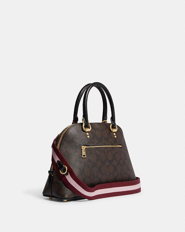 Katy Satchel In Signature Canvas With Ski Patches Coach